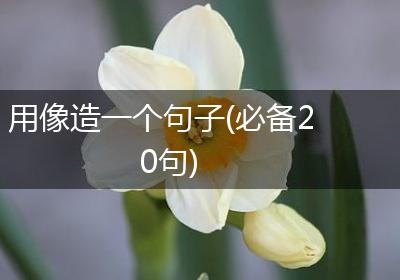 用像造一个句子(必备20句)
