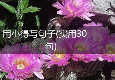 用小得写句子(实用30句)