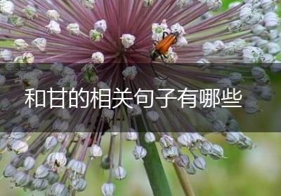 和甘的相关句子有哪些