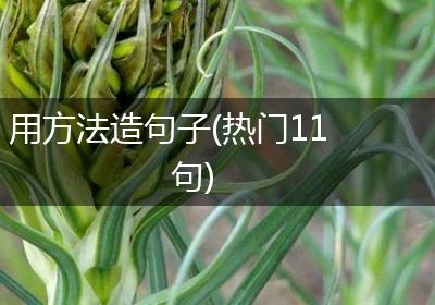用方法造句子(热门11句)
