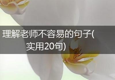 理解老师不容易的句子(实用20句)