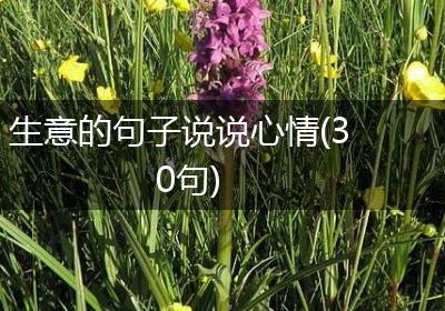 生意的句子说说心情(30句)