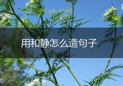 用和静怎么造句子