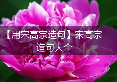 【用宋高宗造句】宋高宗造句大全
