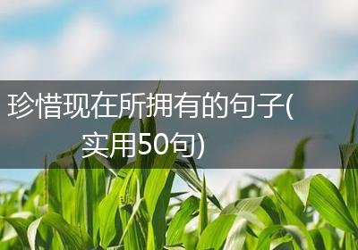 珍惜现在所拥有的句子(实用50句)