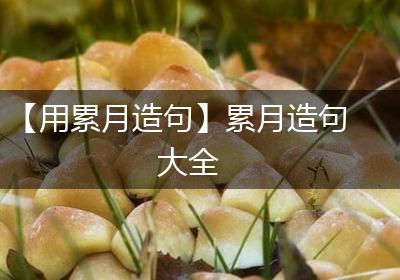 【用累月造句】累月造句大全