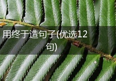 用终于造句子(优选12句)
