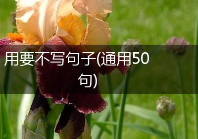 用要不写句子(通用50句)