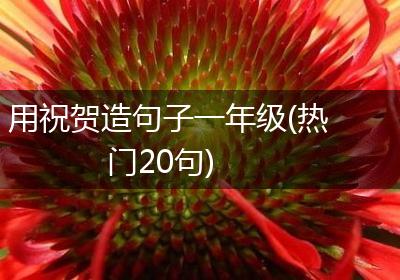 用祝贺造句子一年级(热门20句)