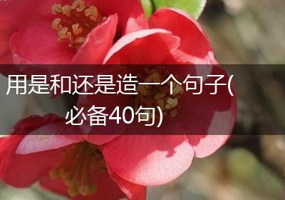 用是和还是造一个句子(必备40句)
