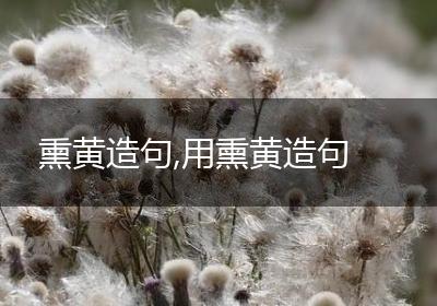 熏黄造句,用熏黄造句