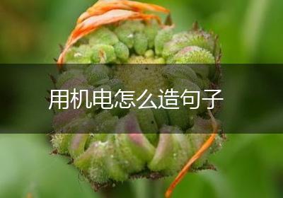 用机电怎么造句子