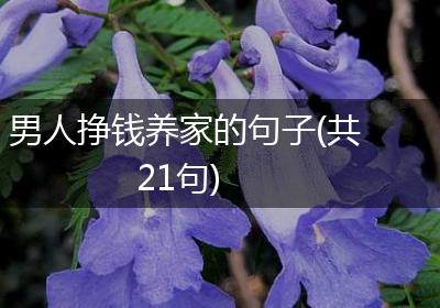 男人挣钱养家的句子(共21句)