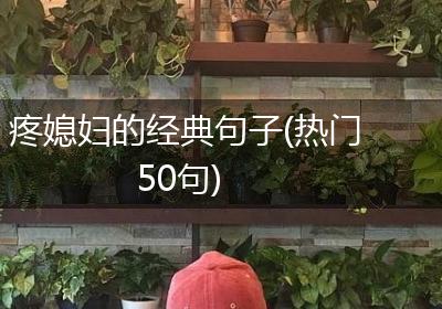 疼媳妇的经典句子(热门50句)
