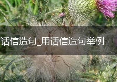 话信造句_用话信造句举例