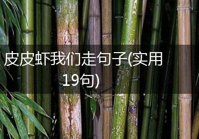 皮皮虾我们走句子(实用19句)