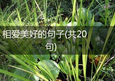 相爱美好的句子(共20句)