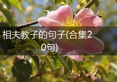 相夫教子的句子(合集20句)