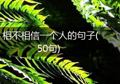相不相信一个人的句子(50句)