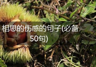 相思的伤感的句子(必备50句)