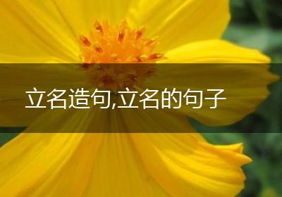 立名造句,立名的句子