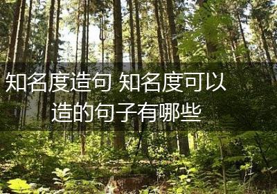 知名度造句 知名度可以造的句子有哪些