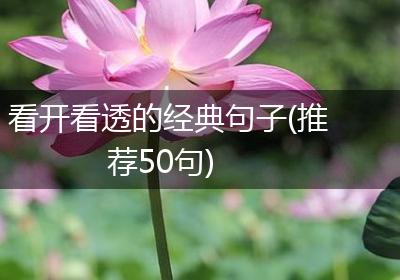 看开看透的经典句子(推荐50句)