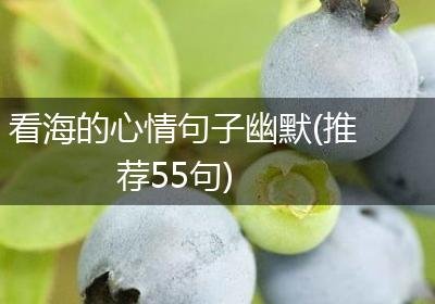 看海的心情句子幽默(推荐55句)