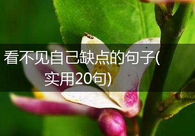 看不见自己缺点的句子(实用20句)