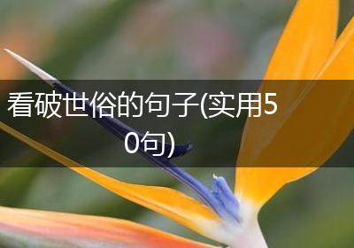 看破世俗的句子(实用50句)