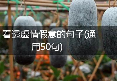 看透虚情假意的句子(通用50句)