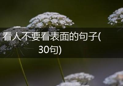 看人不要看表面的句子(30句)