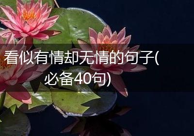 看似有情却无情的句子(必备40句)