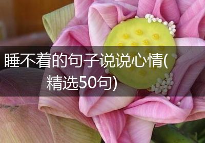 睡不着的句子说说心情(精选50句)