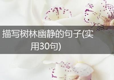 描写树林幽静的句子(实用30句)