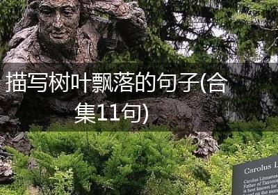 描写树叶飘落的句子(合集11句)