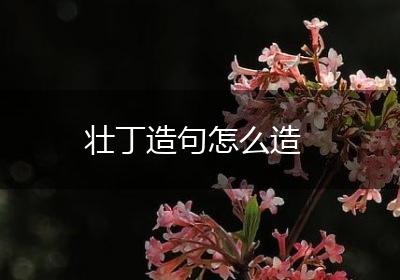 壮丁造句怎么造