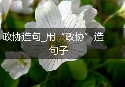 政协造句_用“政协”造句子
