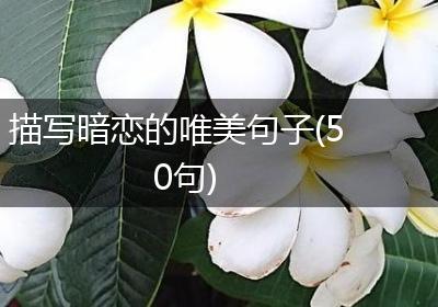 描写暗恋的唯美句子(50句)
