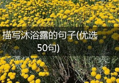 描写沐浴露的句子(优选50句)