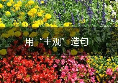 用“主观”造句