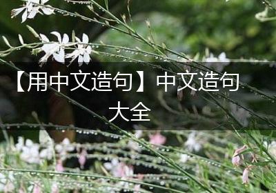 【用中文造句】中文造句大全