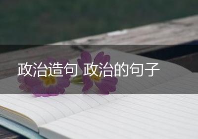 政治造句 政治的句子