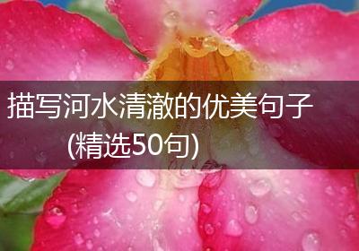 描写河水清澈的优美句子(精选50句)