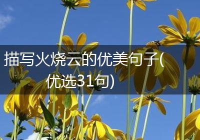 描写火烧云的优美句子(优选31句)