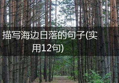 描写海边日落的句子(实用12句)