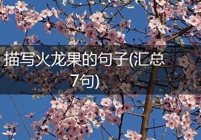 描写火龙果的句子(汇总7句)