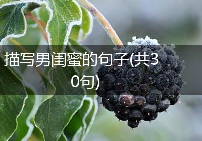 描写男闺蜜的句子(共30句)