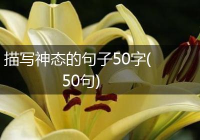 描写神态的句子50字(50句)