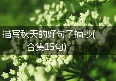 描写秋天的好句子摘抄(合集15句)